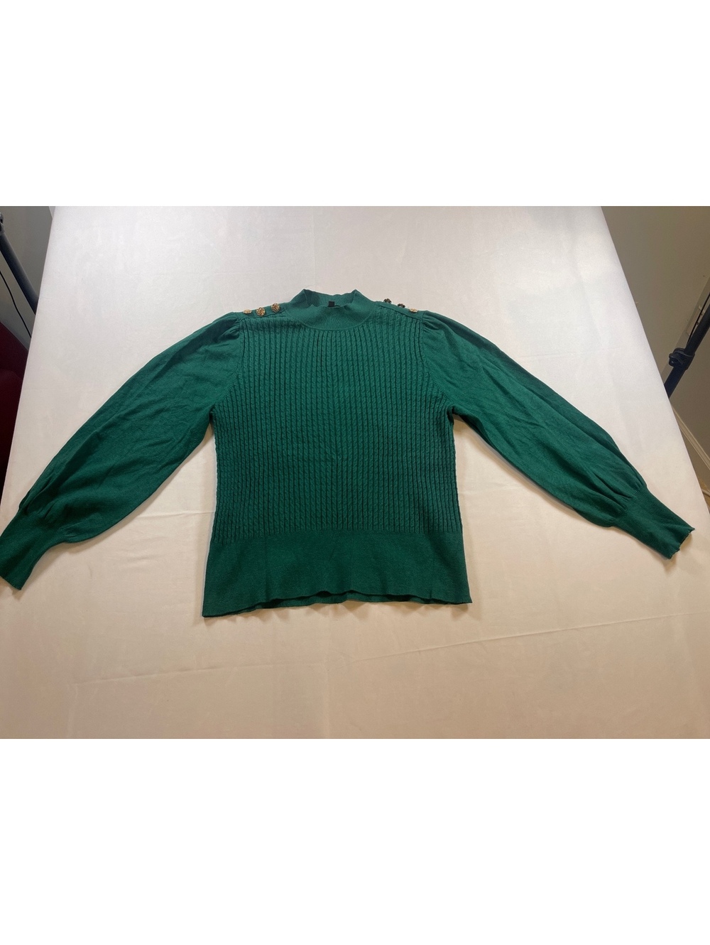 Women’s Size XL Adrianna Papell Turtleneck Sweater